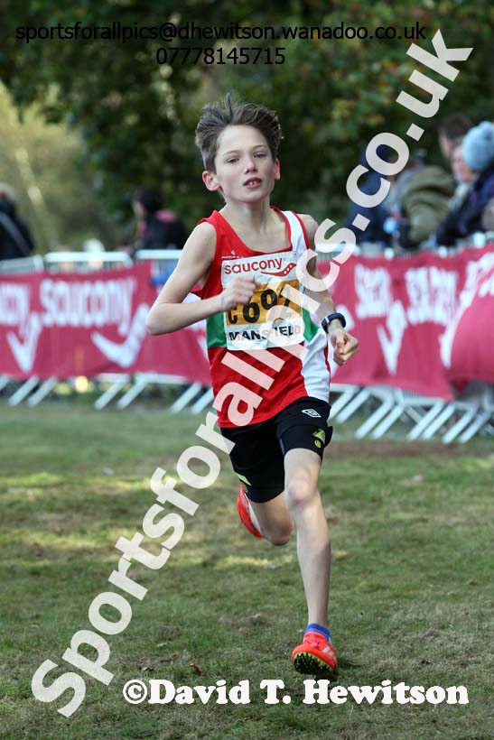 Boys under-13s, 2016 National Cross Country Relays, Berry Hill Park, Mansfield. Photo: David T. Hewitson/Sports for All Pics